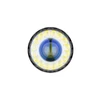 Front view of high power LEP flashlight lens with multi LED ring on white background