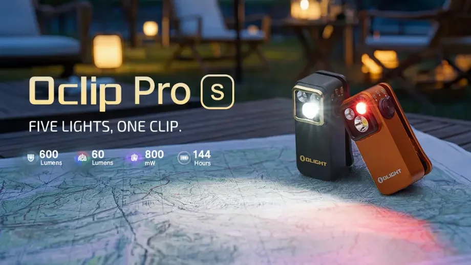 Best Dog Walking Torches 2026: Head and Body Lights for Night Walks