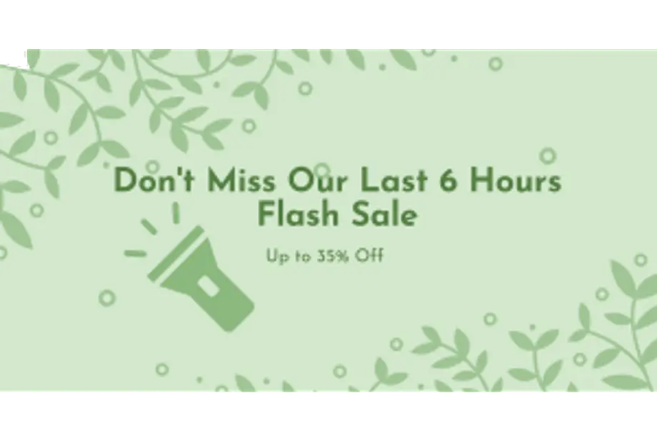 How To Choose The Olight Torches By Activity?