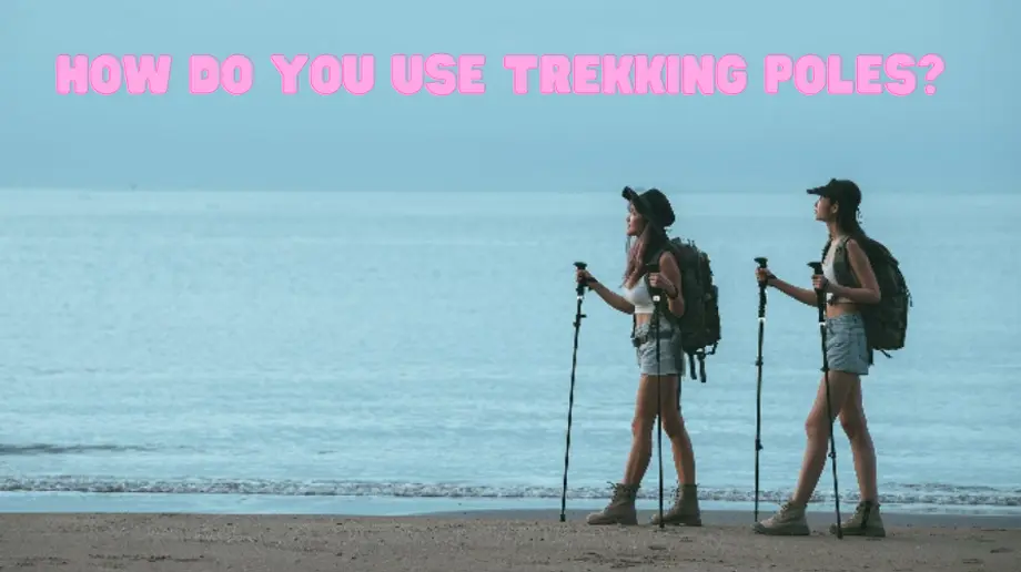 Beamwalk T3 II Lighted Trekking Poles