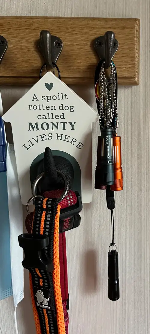 Dog walking essentials