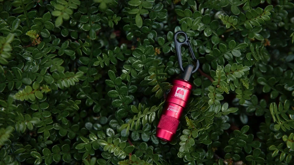 Everyday Carry Keychain Torches: Compact, Rechargeable & Custom Branded