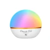 Obulb Plus Touch Night Light Smart Multicolor Orb Light front view